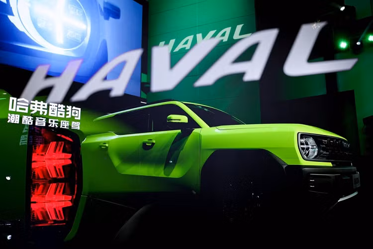 Mẫu xe SUV Haval Cool Dog 2022 chính là phiên bản thương mại của mẫu xe concept mang tên X-Dog từng ra mắt trong triển lãm Ô tô Thượng Hải 2021. Đồng thời, đây là mẫu SUV thứ hai của Haval có chữ "Dog" trong tên gọi, sau Big Dog. Được biết, trong tương lai, Haval còn dự kiến ra mắt 5 mẫu xe nữa với cách đặt tên tương tự, bao gồm Beta Dog, Alpha Dog, Delta Dog, Epsilon Dog và Gamma Dog.