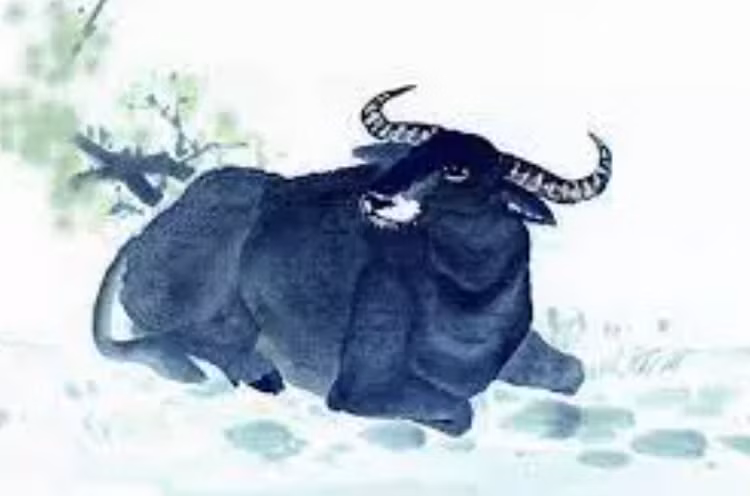Với tinh thần chăm chỉ và siêng năng ấy, tuổi Sửu rất được lòng các quan bề trên nên mọi việc sau rằm tháng Giêng sẽ trăm bề thuận lợi.