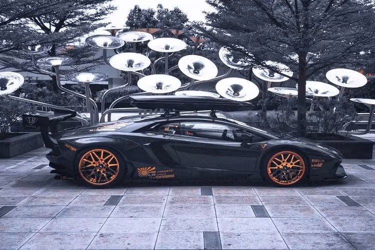 Cung cấp sức mạnh cho Lamborghini Aventador hàng độc này vẫn là động cơ hút khí tự nhiên V12 dung tích 6.5L, cho ra công suất 700 mã lực và mô-men xoắn 690 Nm. Đi kèm hộp số bán tự động ISR 7 cấp, siêu bò có thể tăng tốc 0-100 km/h trong 2,9 giây và tốc độ tối đa là 350 km/h.