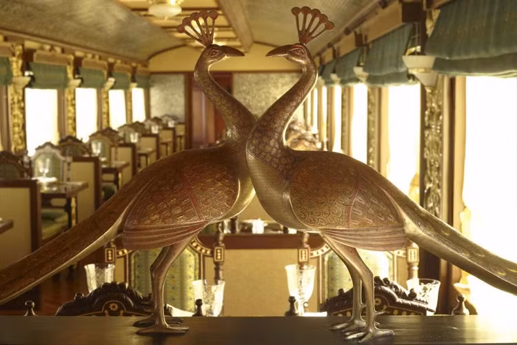 Mỗi cabin trên tàu Maharajas ' Express đều được cung cấp phòng tắm, TV, đầu DVD, Internet, điều hoà, mini bar,…và cửa sổ lớn để hành khách có thể thưởng thức cảnh đẹp của Ấn Độ.