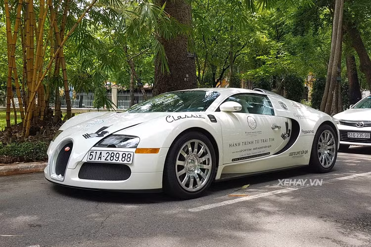 Hiện tại, Việt Nam vẫn chưa có chiếc Chiron nào vì siêu phẩm này không lọt vào "mắt xanh" của giới đại gia. Trong khi đó, Veyron đã được đưa về nước từ năm 2012 theo đơn đặt hàng trước của doanh nhân Phạm Trần Nhật Minh, tuy nhiên, tới năm 2018, hypercar này đã sang tên cho ông Đặng Lê Nguyên Vũ.