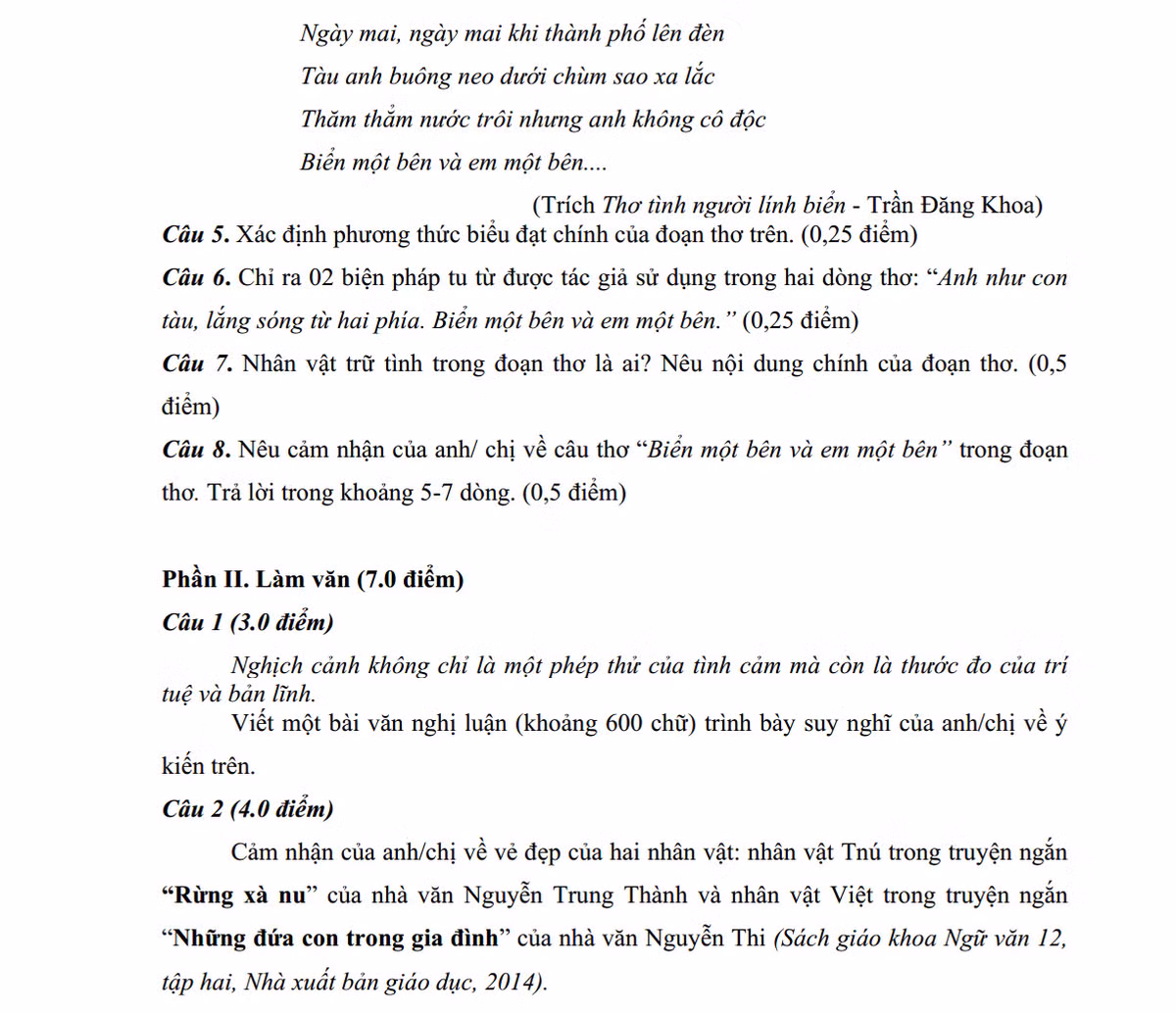 De thi thu THPT quoc gia 2015 mon Ngu Van THPT Nguyen Binh-Hinh-2