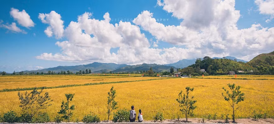 Một người nông dân ngồi trò chuyện với con ở cánh đồng tại nông trại Chonsam.