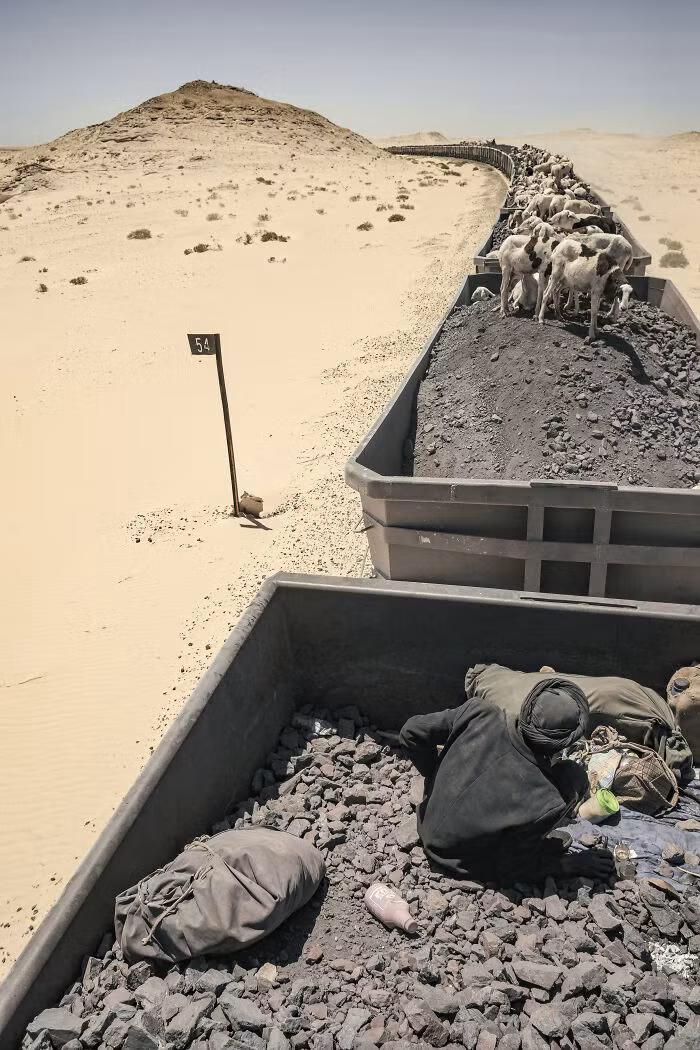 Chuyến tàu chở đầy gia súc hướng về Nouadhibou.