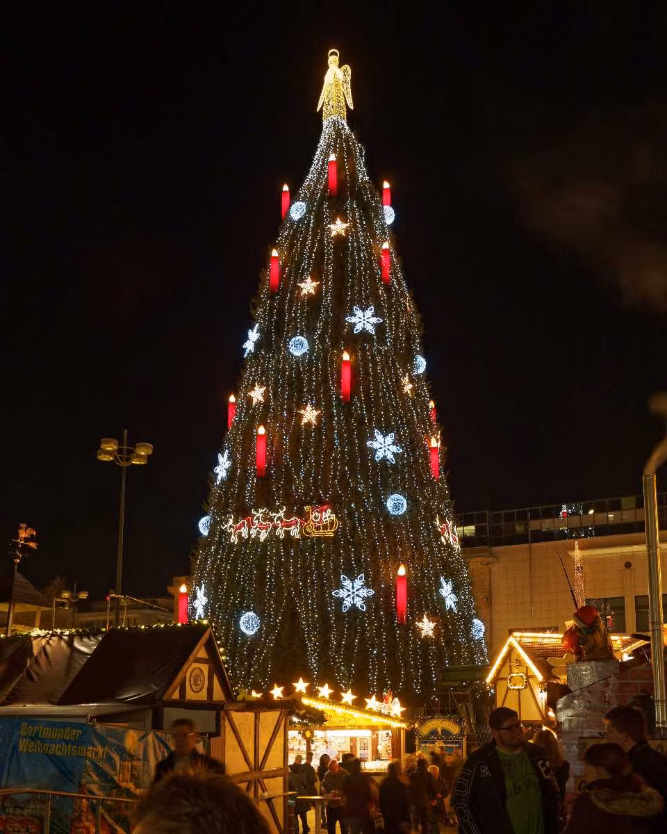 Truyền thống cây thông Noel được cho là bắt đầu vào thế kỷ 16 ở Đức.