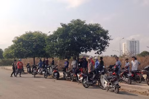 Nguòi dàn ong chét bí ản trong bụi rạm ỏ TP HCM-Hinh-2
