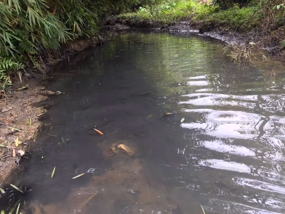 Dan Ha Noi ton hai suc khoe, thoi gian, tien bac vi nuoc may o nhiem, ai se den bu-Hinh-2