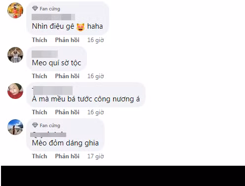Không ít netizen nhận xét cặp tượng mèo được trang trí, sáng tạo không khác gì bá tước và công nương của giới quý tộc nhà mèo.