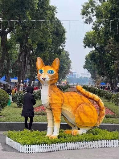 Phần đầu pho tượng nhận được nhiều ý kiến không giống với loài mèo, gây tranh cãi trên MXH thời gian gần đây. Ảnh: @Vũ Hùng