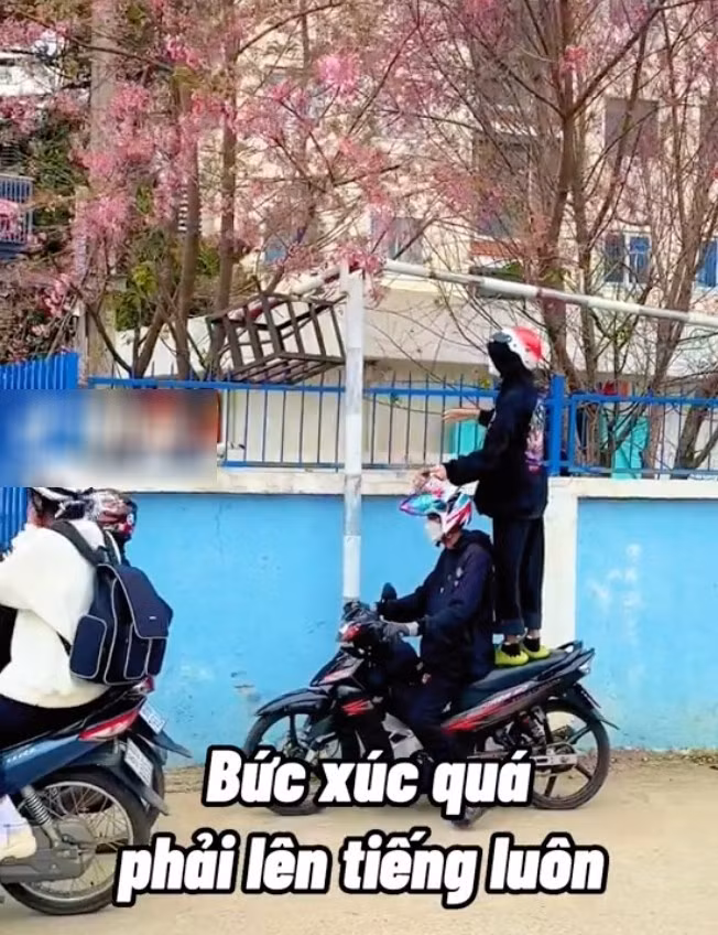 Tuy nhiên mới đây trên MXH xuất hiện đoạn clip TikTok ghi lại cảnh một nhóm thanh niên ngang nhiên bẻ cành mai anh đào Đà Lạt mặc người xung quanh nhắc nhở, netizen vô cùng bức xúc.