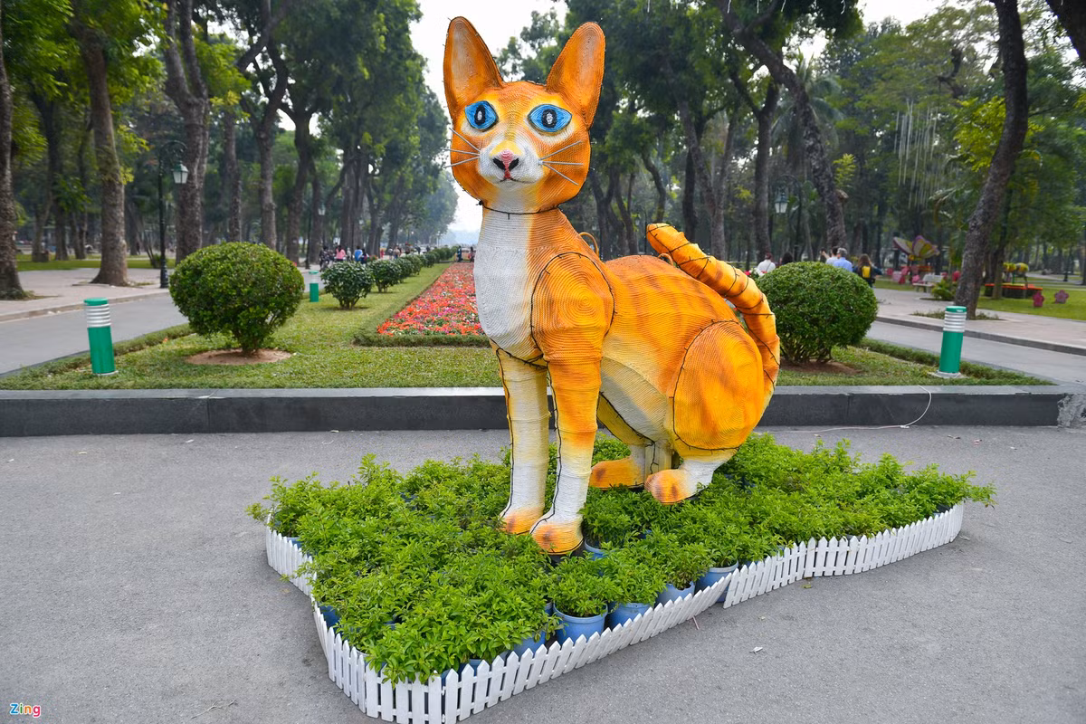 Gây bão nhất mấy ngày nay chính là chú mèo ở công viên Thống Nhất, Hà Nội. Trái với trong tưởng tượng của nhiều người, thì chú mèo này có tạo hình màu vàng cam và hơi gầy một chút. Ảnh: Zing