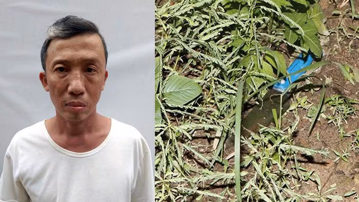  Người tàn tật giết người giữa đường: Bùi Quang Lý (46 tuổi, trú huyện Cẩm Xuyên, tỉnh Hà Tĩnh) trên đường về nhà thì gặp anh Đ.Đ.T. (41 tuổi, trú cùng địa phương). Sau đó, giữa 2 người đã xảy ra mâu thuẫn Lý đã dùng dam đâm tử vong nạn nhân. Được biết, Lý là người tàn tật còn anh Đ. bị chất độc màu da cam. Ngày 27/10, VNSND tỉnh Hà Tĩnh đã phê chuẩn khởi tố Lý về hành vi “Giết người”. 