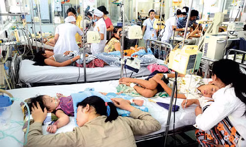 Sot xuat huyet, viem nao bung phat tren ca nuoc, hang tram ca benh nguy kich