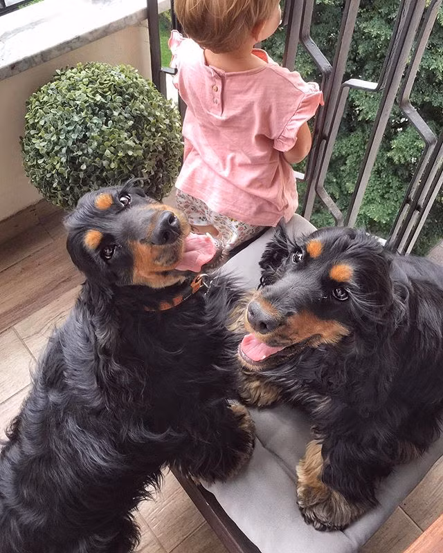 Ngẩn ngơ ngắm hai cô chó "điệu đà" có hàng mi quyến rũ nhất TG - Hình 5 Ngan ngo ngam hai co cho