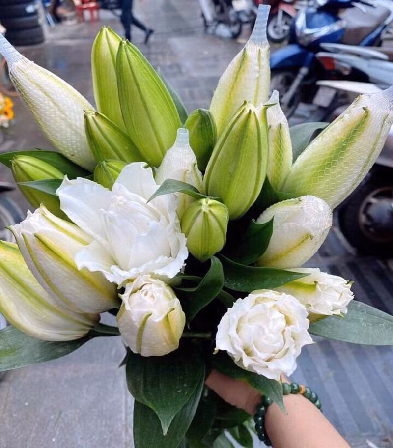 Loai hoa ly sieu dat do, chi em Ha thanh rao riet san lung-Hinh-4