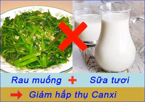 Ăn rau muống phải nhớ kĩ những điều này kẻo “rước” bệnh vào người - Hình 2 An rau muong phai nho ki nhung dieu nay keo “ruoc” benh vao nguoi-Hinh-2
