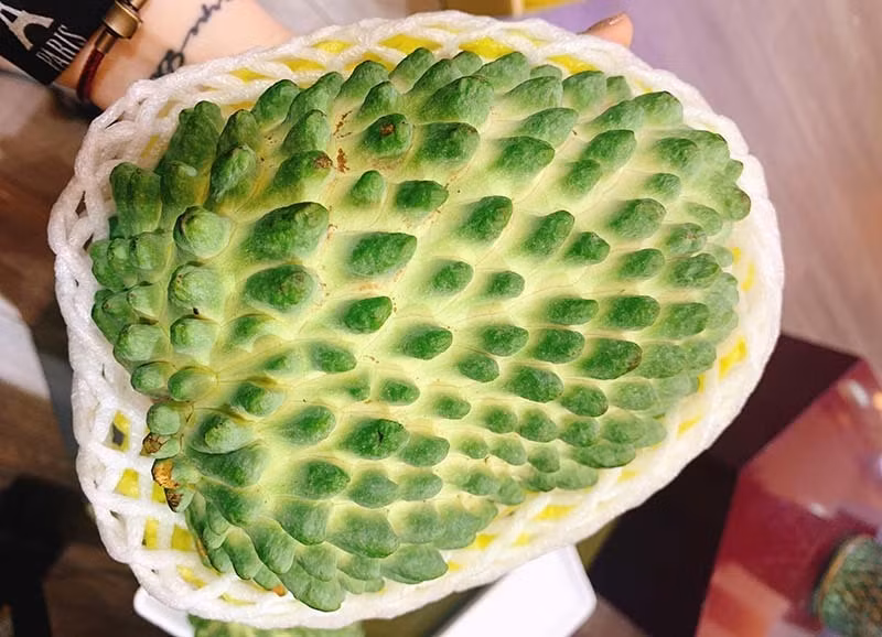 Cô Mai (Hà Đông, Hà Nội) chia sẻ, cô hỏi nhiều cửa hàng trái cây nhập khẩu nhưng không có. Cô phải nhờ người bạn ở Xuân Đỉnh (Bắc Từ Liêm) mua hộ khoảng 1 tuần mới có hàng.