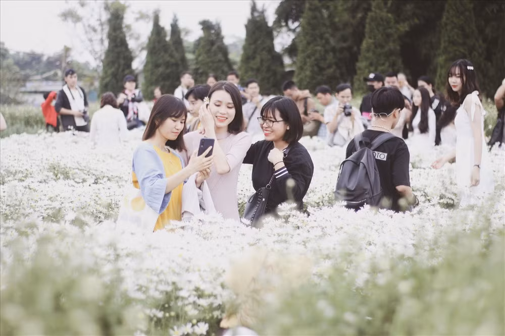 Ước tính, mỗi ngày chủ vườn có thể thu về hàng chục triệu đồng. Ảnh: Lao động.