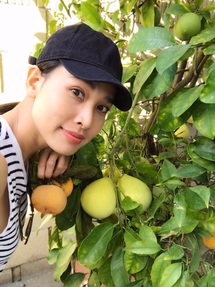 Ngoài ra, khu vườn còn rất nhiều cây ăn trái. Ảnh: Helino.
