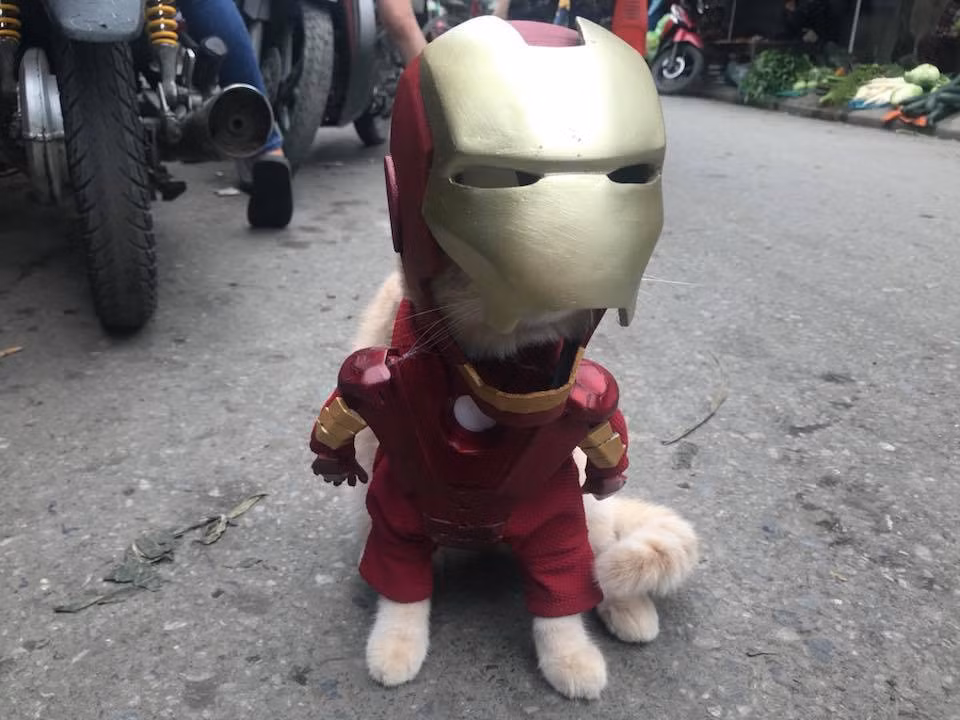 Ăn theo sức nóng của bộ phim "Biệt đội báo thù: Cuộc chiến vô cực" của Marvel, lần này, Chó hóa thân thành các siêu anh hùng nổi tiếng như Người Sắt, Thor, Loki nhưng không phải là để đi giải cứu thế giới, mà là đi bán gà, bán rau, bán tôm ngoài chợ. (Ảnh: Facebook Lê Quốc Phong)