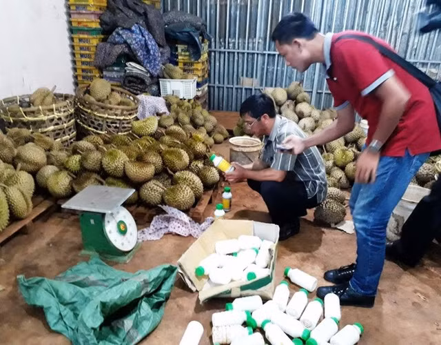 Rùng mình sầu riêng "ngậm" hóa chất bán đầy miền Bắc Rung minh sau rieng "ngam" hoa chat ban day mien Bac