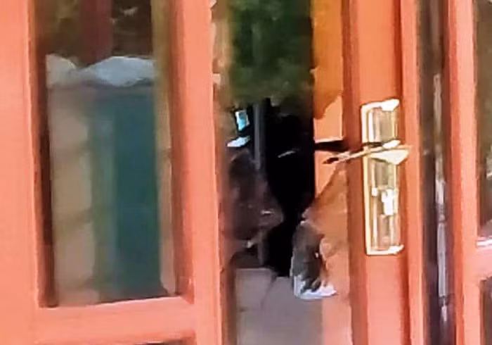 Các đối tượng đã phá khóa đột nhập tịnh thất và hiếp dâm cô gái trẻ. Ảnh: Giác Ngộ.