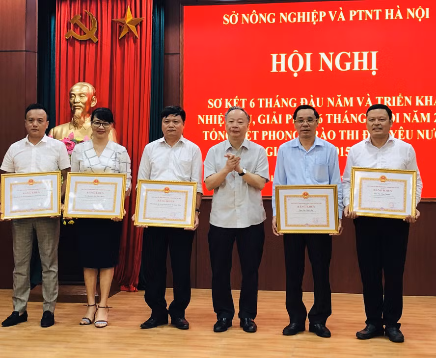 Ông Nguyễn Văn Sửu thực hiện chức trách, nhiệm vụ và quyền hạn theo Luật Tổ chức chính quyền địa phương. Quy chế làm việc của Ban cán sự Đảng UBND Thành phố, Quy chế làm việc của UBND TP Hà Nội.