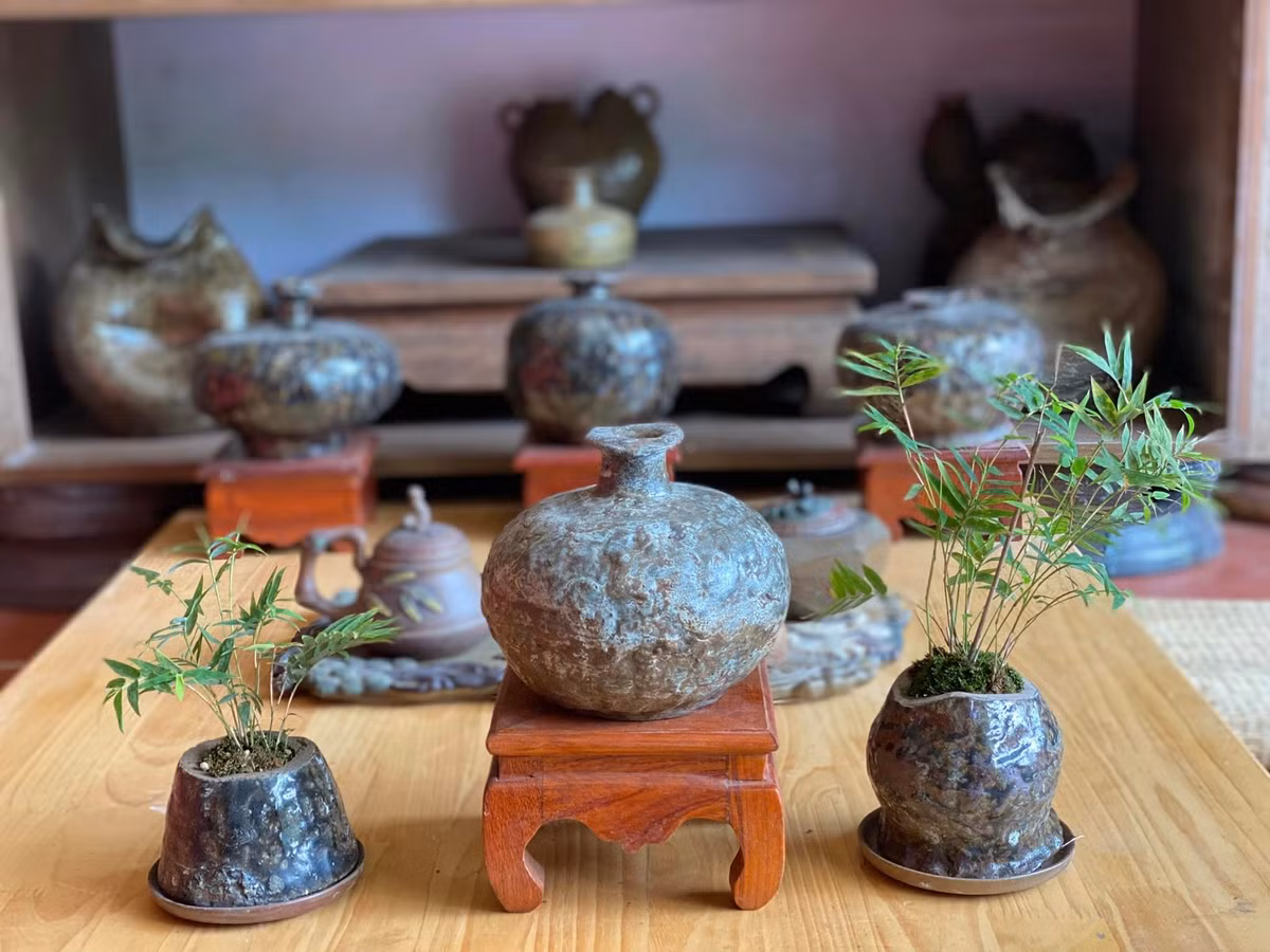 Những chậu bonsai tre mini thích hợp trang trí trên bàn trà, bàn làm việc hay bậu cửa sổ. Ảnh: Facebook