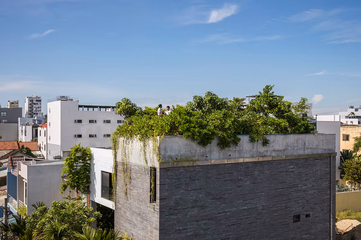 Trong khi đó, "Thắng House" được xây tại Đà Nẵng được giải thưởng Honorable Mention tại hạng mục kiến trúc nhà ở. Mong muốn của chủ nhân là có được một ngôi nhà mang phong cách làng quê, nơi có được không khí trong lành, bao phủ bởi những đồng cỏ và những mảng xanh đậm chất nhiệt đới.