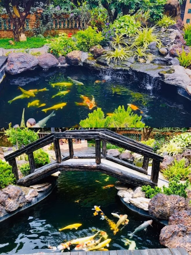 Nam diễn viên đã tốn khoảng 1 tỷ đồng để xây hồ bằng đá tự nhiên, lắp hệ thống máy mọc nước. Ảhh: Facebook