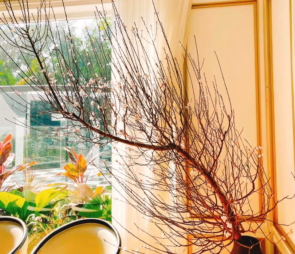 Góc nào trong nhà cũng được trang trí đẹp mắt bởi các loại hoa.