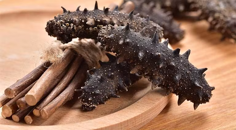 Trong khi đó, nhờ giá trị dinh dưỡng cao, hương vị thơm ngon độc đáo, hải sâm có giá trung bình khoảng 700.000 - 1 triệu đồng/kg. Ảnh: Internet