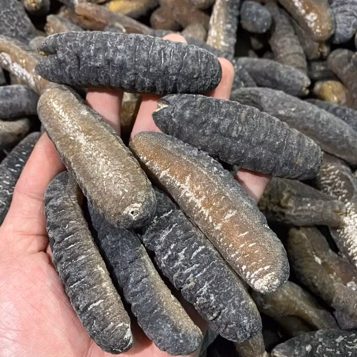 Ngoài ra còn có hải sâm hầm gân nai. Trong đó, hải sâm đặc sản quý hiếm có giá từ 600.000 - 1,7 triệu đồng/kg (loại tươi) và 2,5 - 3 triệu đồng/kg với hải sâm khô. Còn gân nai khô giá từ 1,2 triệu đồng/kg. Ảnh: Vinpearl