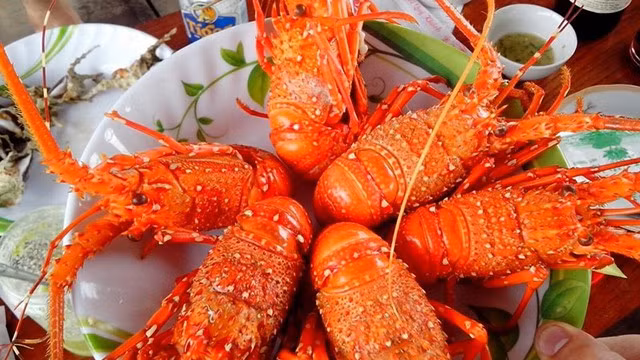 Thực đơn tiệc cưới còn có tôm hùm Nha Trang bỏ lò phô mai comte. Tôm hùm Nha Trang là đặc sản nổi tiếng với giá bán từ 1,2 - 1,5 triệu đồng/kg với loại tôm hùm to (600 - 1kg). Ảnh: Vntrip