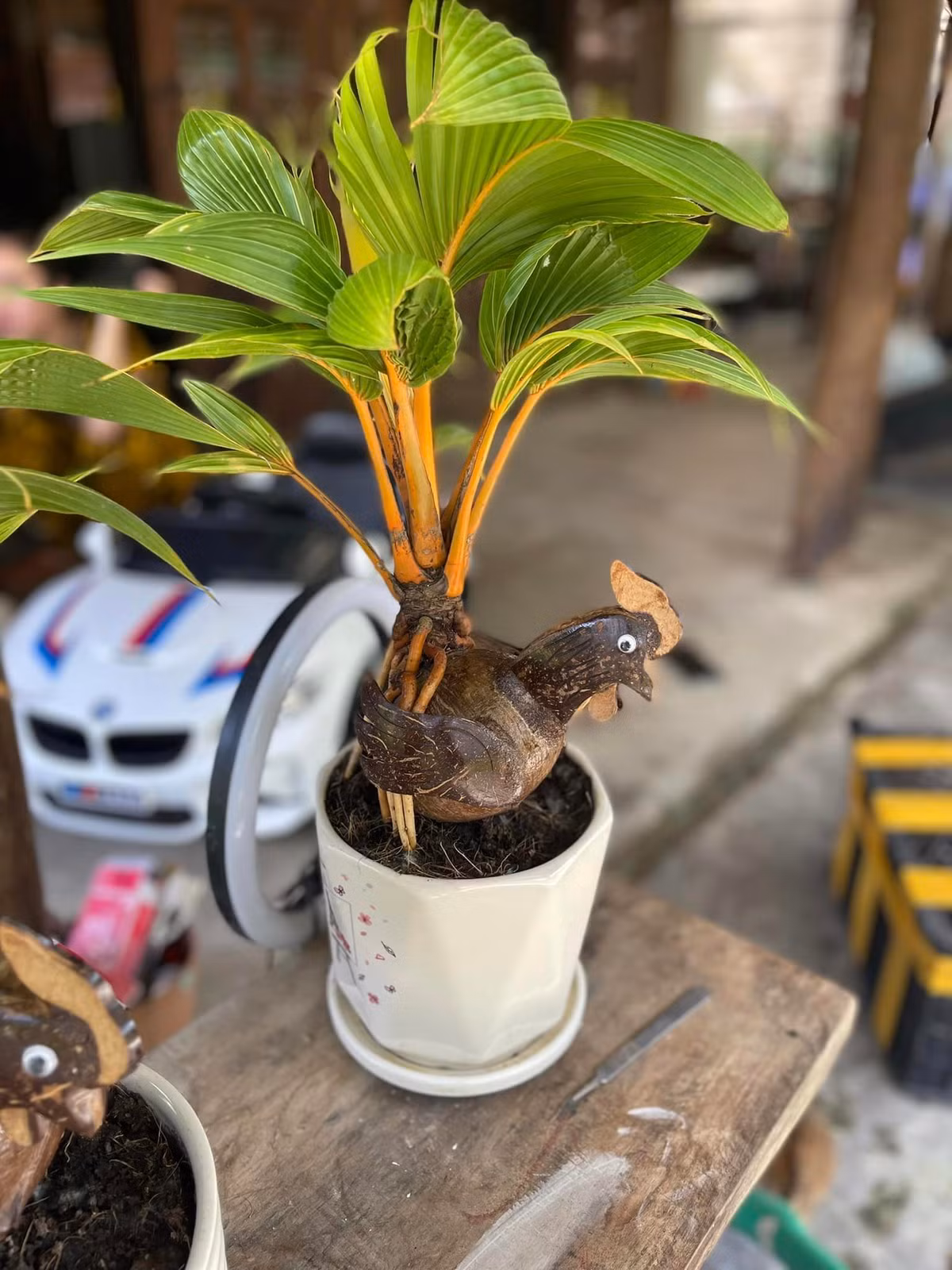 Ngoài ra, thị trường còn có dừa bonsai đủ loại hình thú chuần bị cho Tết 2023.