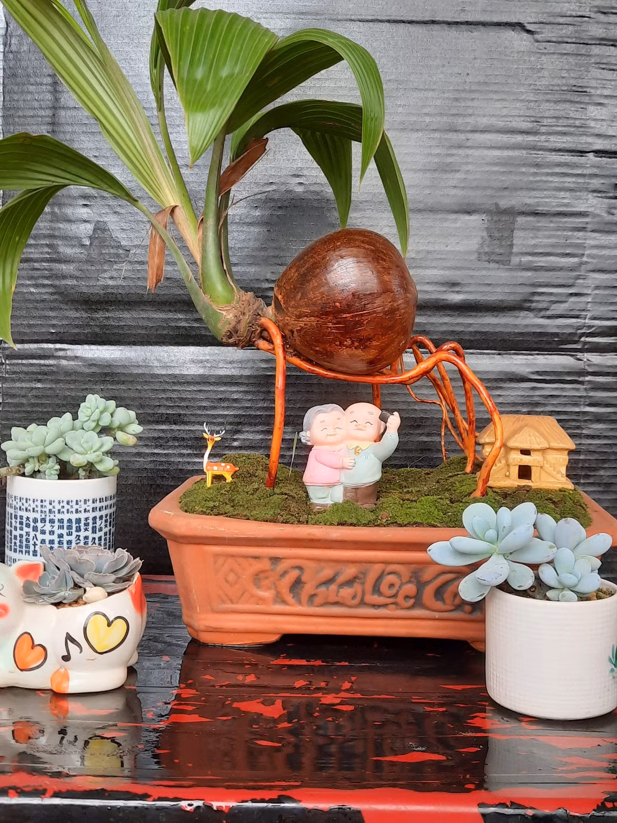 Hơn nữa, dừa bonsai vừa mang vẻ đẹp cổ kính vừa hiện đại, tạo không gian xanh cho ngôi nhà.