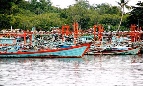 Indonesia sap danh chim 57 tau danh bat ca trai phep