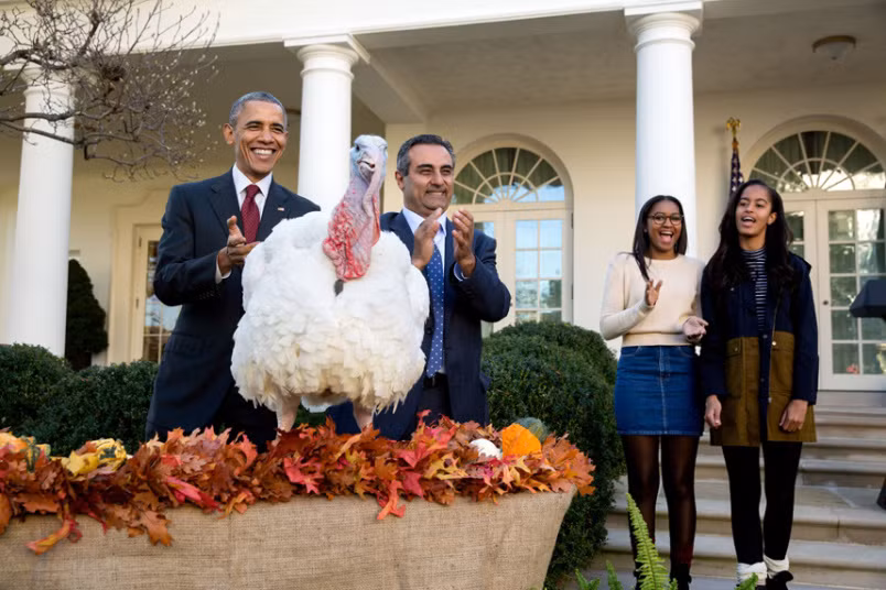 Ngày 25/11/2015: Tổng thống Obama cùng hai con gái Sasha và Malia trong ngày Lễ Tạ ơn tại Vườn Hoa hồng.