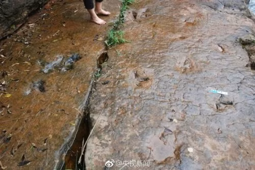 Trong ảnh là rất nhiều dấu chân khủng long mới được phát hiện. (Nguồn Sina)