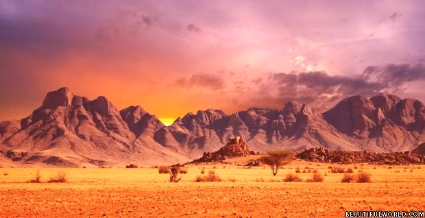 Các chuyên gia tìm thấy kim cương tại sa mạc Namib. Nhờ vậy, nhiều cuộc khai thác kim cương diễn ra tại sa mạc khô cằn này.