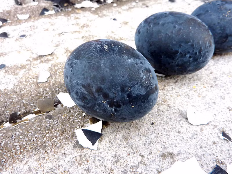 Cụ thể, người dân địa phương lưu truyền thuyết về Kuro tamago với khả năng phi thường.