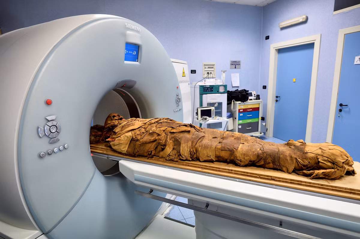 Trong số này có việc các chuyên gia tiến hành chụp CT xác ướp linh mục Ankhekhonsu.