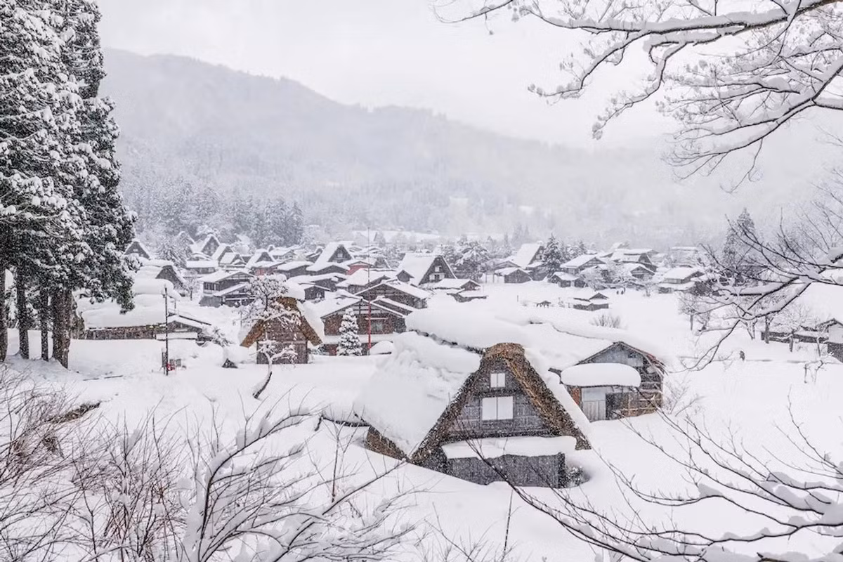 Khi đến ngôi làng Shirakawago, du khách sẽ có cơ hội ngắm nhìn những ngôi nhà cổ xây dựng theo phong cách gassho-zukuri.