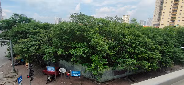 Ha Noi: Du an 220 Tran Duy Hung Bao Viet “treo” ca thap ky, sao chua thu hoi?-Hinh-5