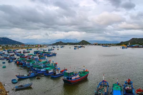 Hung Thinh, Novaland… tai tro quy hoach do thi ven Dam Nai hon 2.900ha