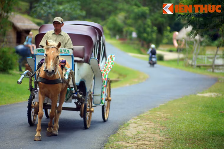 Nơi đây cũng có dịch vụ chở khách đi tham quan bằng xe ngựa hoặc xe Jeep.