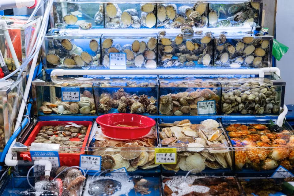 Khu chợ hoạt động tấp nập cả ngày, nhưng phiên đấu giá cá tươi diễn ra lúc 1h sáng hàng ngày mới là nét văn hóa đặc sắc của nơi đây. Du khách đến Noryangjin có thể tự tay lựa các loại hải sản đang còn tươi sống bên trong các bể chứa có bơm oxy. Sau đó, người bán sẽ cân và báo giá cho người mua. Quy trình mua sắm vô cùng đơn giản khiến bạn không cần phải biết tiếng Hàn Quốc cũng có thể dễ dàng tìm được món hải sản ưng ý.