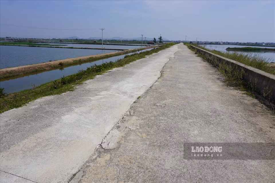 Đến nay, sau hơn 2 năm, tuyến đê này lại tiếp tục bị nứt, vỡ nghiệm trọng. 