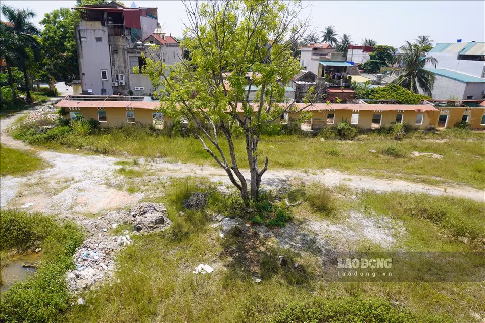 Nhieu truong hoc tai Thanh Hoa bi bo hoang, co moc um tum-Hinh-7