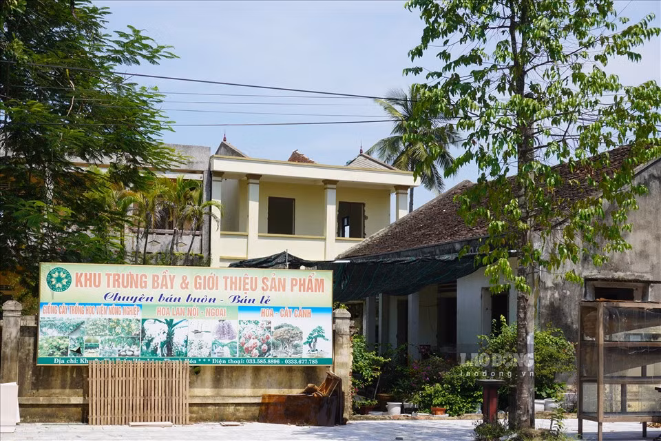 Nhieu truong hoc tai Thanh Hoa bi bo hoang, co moc um tum-Hinh-6